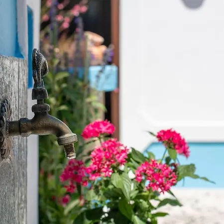 Genovefa Traditional House